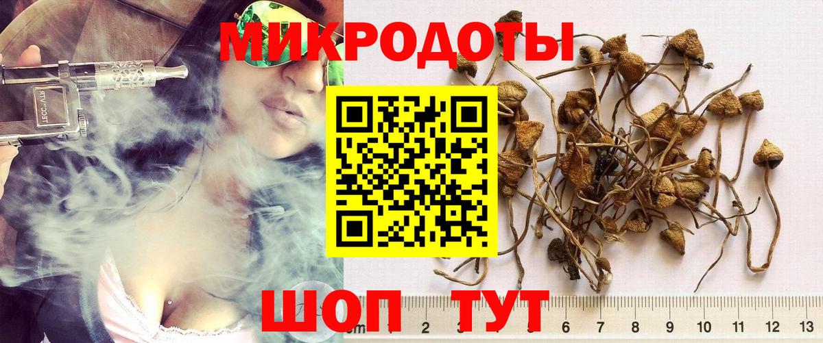 Галлюциногенные грибы Cubensis Азов